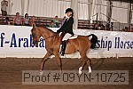 09yn-10725 proof