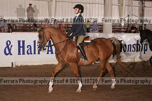 Proof 09yn-10729