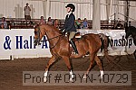 09yn-10729 proof