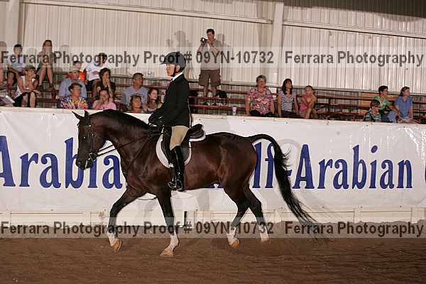 Proof 09yn-10732