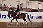 09yn-10732 proof