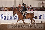 09yn-10733 proof