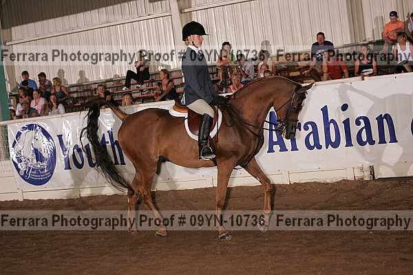 Proof 09yn-10736