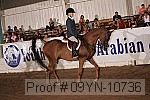 09yn-10736 proof