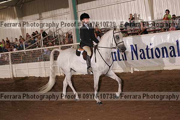 Proof 09yn-10739