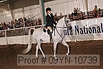 09yn-10739 proof