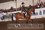 09yn-10740 proof