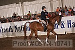 09yn-10741 proof