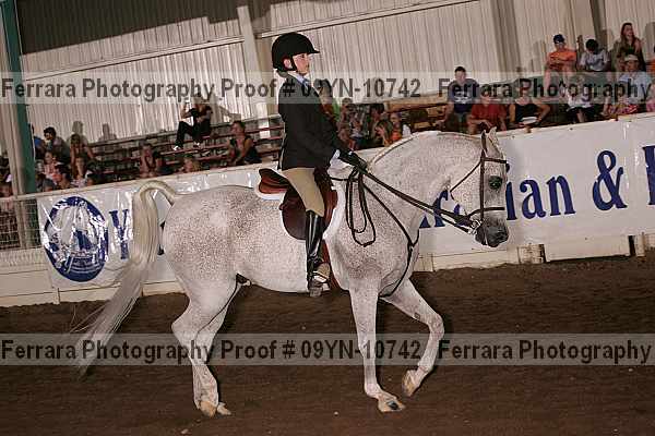 Proof 09yn-10742