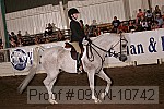 09yn-10742 proof