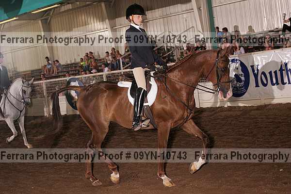 Proof 09yn-10743
