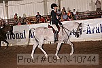 09yn-10744 proof