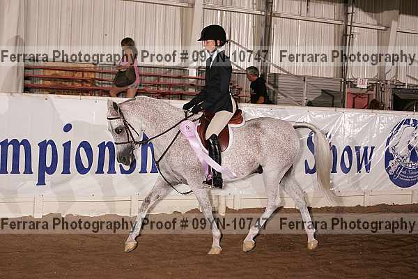 Proof 09yn-10747