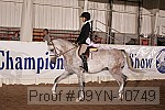 09yn-10749 proof