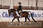 09yn-10752 proof