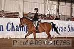 09yn-10756 proof