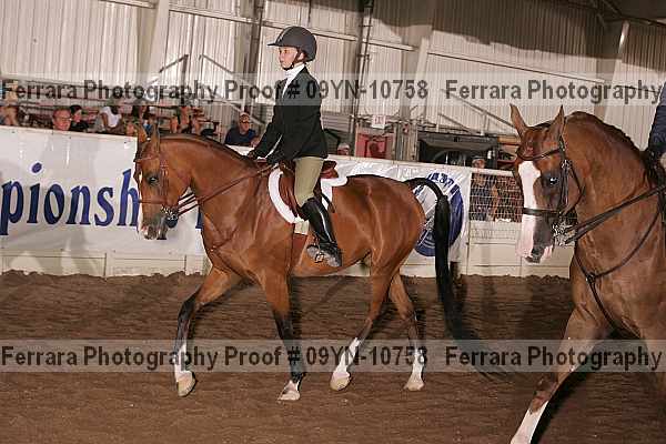 Proof 09yn-10758