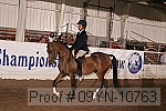 09yn-10763 proof
