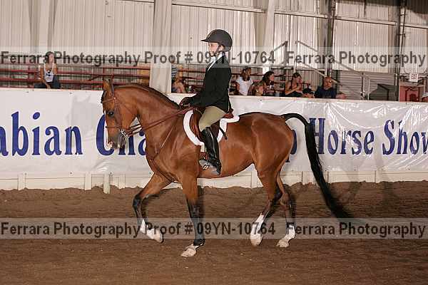 Proof 09yn-10764