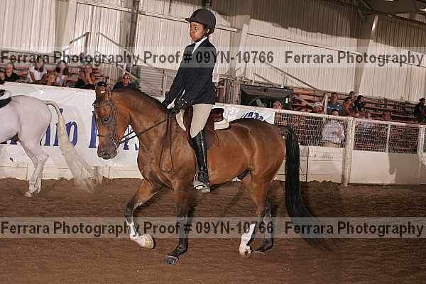 Proof 09yn-10766