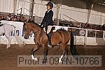 09yn-10766 proof