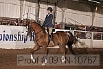 09yn-10767 proof