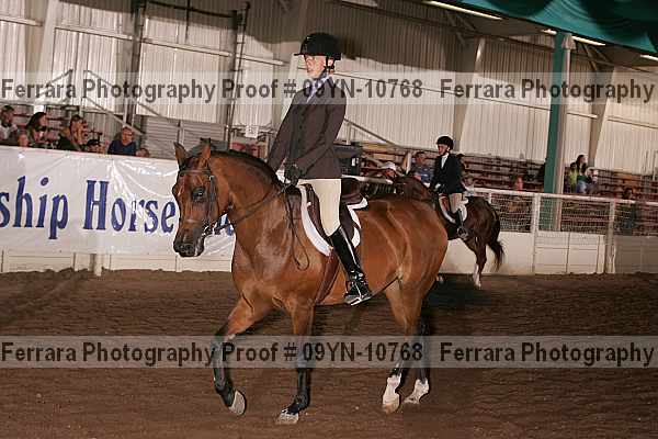Proof 09yn-10768