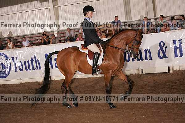 Proof 09yn-10771
