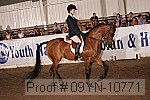 09yn-10771 proof