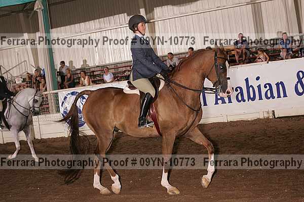 Proof 09yn-10773