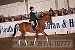 09yn-10777 proof