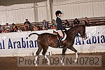 09yn-10782 proof
