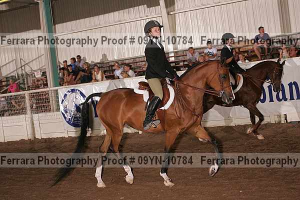 Proof 09yn-10784