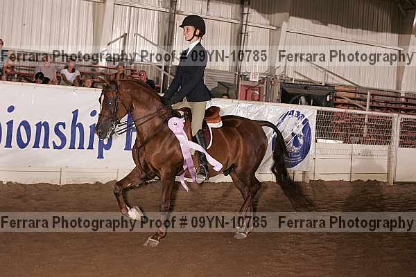 Proof 09yn-10785