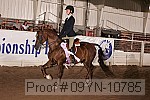 09yn-10785 proof