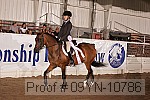 09yn-10786 proof