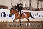 09yn-10789 proof