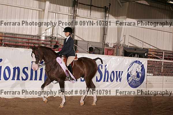 Proof 09yn-10791