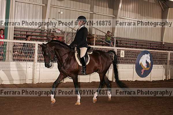 Proof 09yn-16875