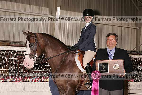 Proof 09yn-16907