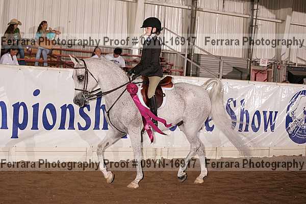 Proof 09yn-16917