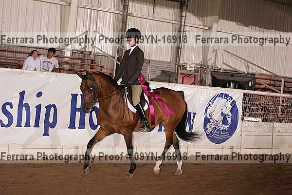 Proof 09yn-16918