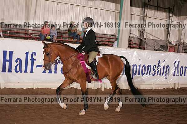 Proof 09yn-16919