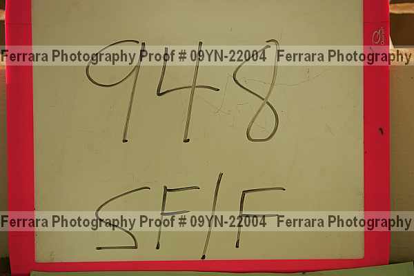 Proof 09yn-22004