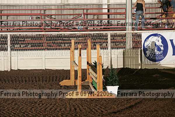 Proof 09yn-22006