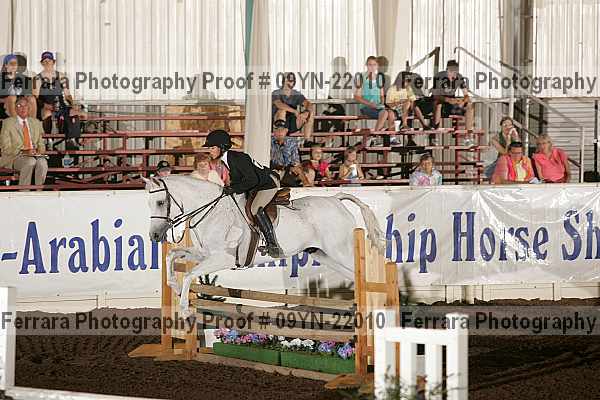 Proof 09yn-22010
