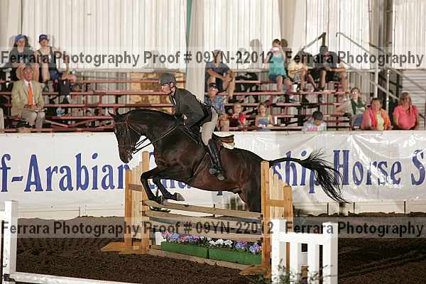 Proof 09yn-22012