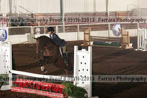 Proof 09yn-22013