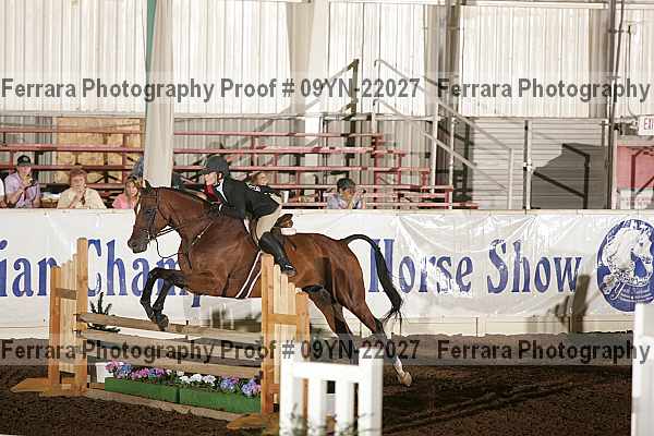 Proof 09yn-22027