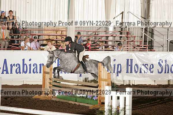 Proof 09yn-22029